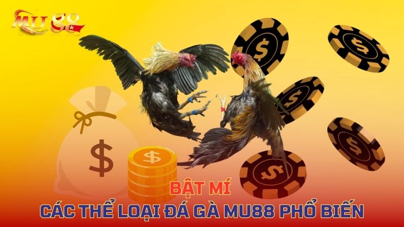 Bật mí các thể loại đá gà phổ biến