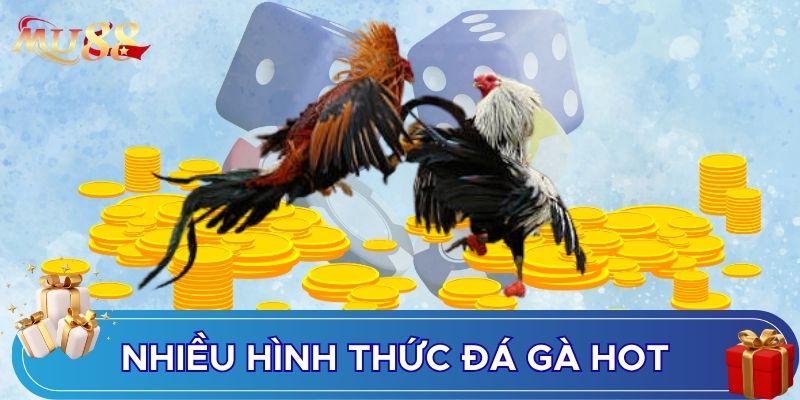 Nhiều hình thức đá gà hot hiện nay
